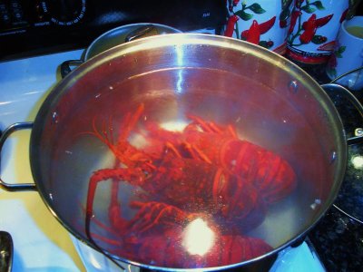 hollw-lobstr 007.jpg