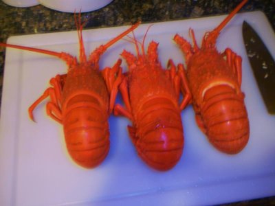 hollw-lobstr 011.jpg