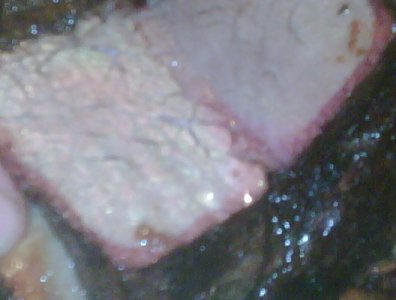 beef ribs-closeup.jpg