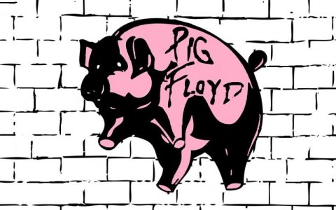 PIG Floyd it.jpg