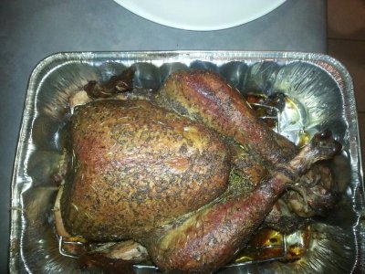 turkey on uds in november.jpg