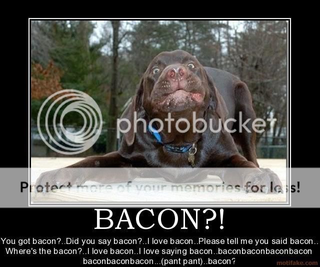 bacondog_zps8428a350.jpg