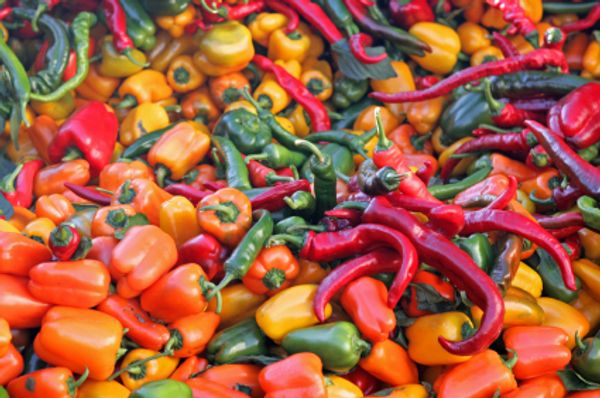 peppers-at-market_zps2278605d.jpg