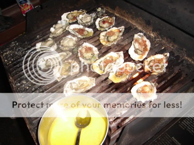 oysters3_zpsa72b8395.jpg