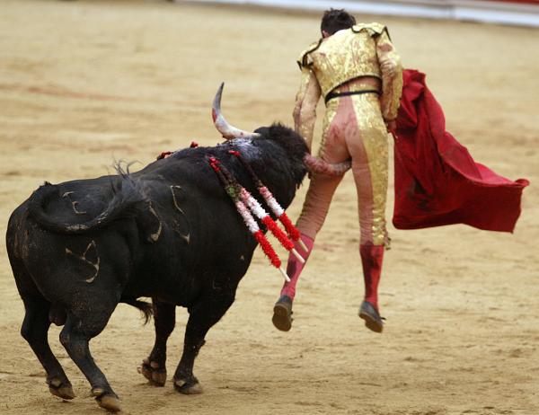 when-the-bull-gores-the-matador-i-rafa-rivas.jpg