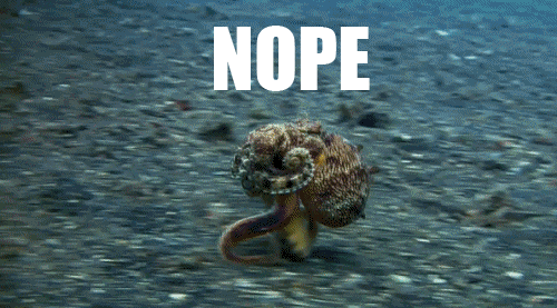nope-octopus.gif