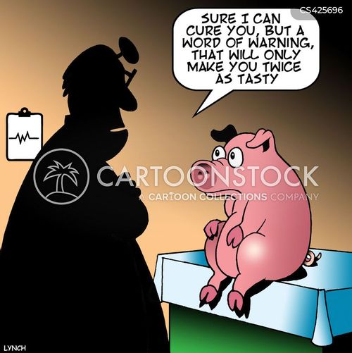 animals-cured_meat-cured_bacon-bacon-ham-pig-mlyn2569_low.jpg