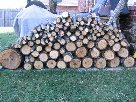 woodpile.JPG