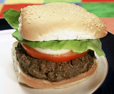 hamburger-large.jpg