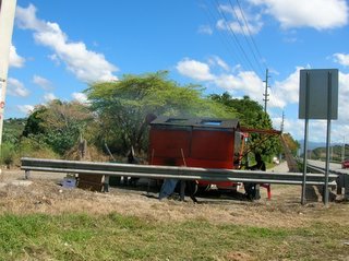 pollo 02.JPG