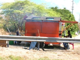 pollo 03.JPG