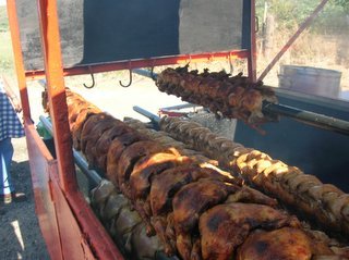 pollo 13.JPG