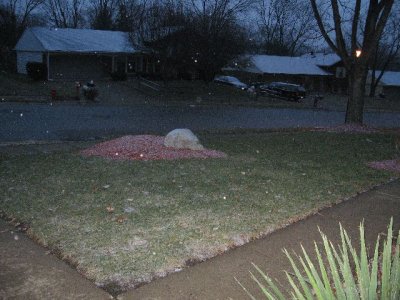 1. Front Yard 7am Friday.JPG