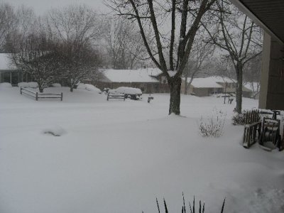 8. Front Yard 10am Saturday.JPG
