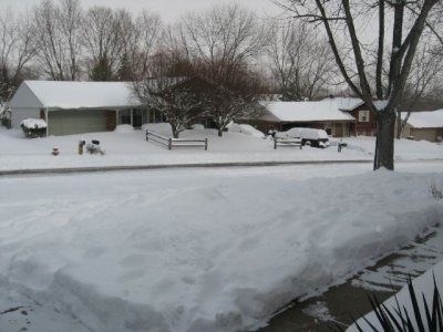 11. Front Yard Saturday 415 PM.JPG
