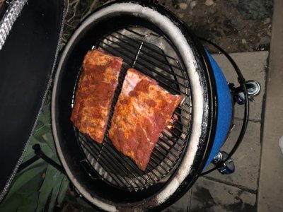 First grill Costco ribs.JPG