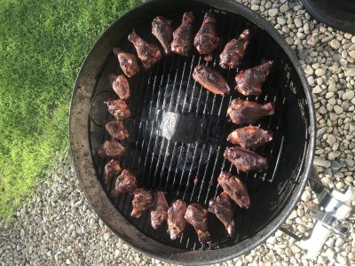 wings1.jpg