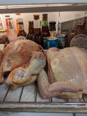 harvest brine chix.jpg