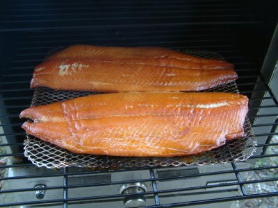 salmon1.JPG