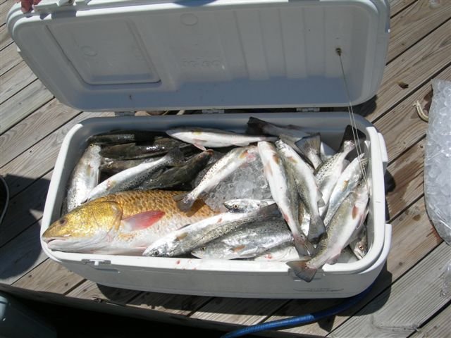 DSCN1132.JPG
