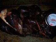 porkbutt1.jpg