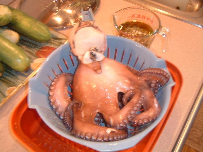 OCT3.jpg