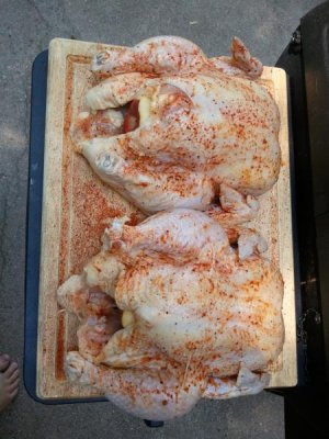 Chicken 2.jpg