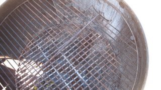 IMG_1011.jpg