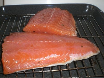 salmon1.jpg