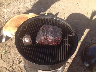 pork butt 5:19.jpg