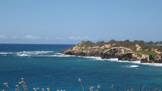 IMG_0651.JPG