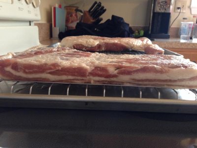 bacon after cure 1.jpg