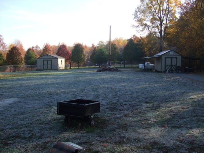frosty morn in tn.jpg
