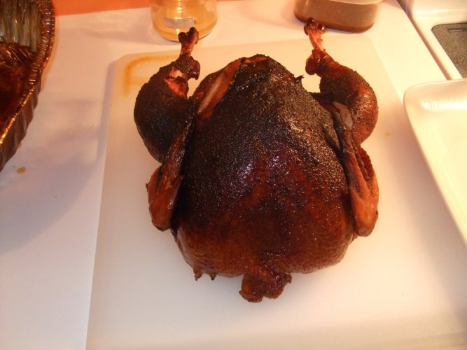 turkey 001.jpg