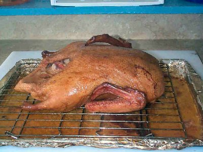 Duck.jpg