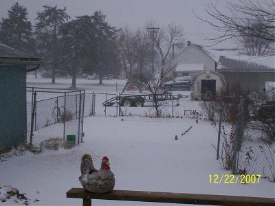 X-MAS HAM 002.jpg