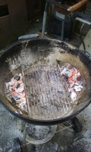 salmon1.jpg salmon1.jpg