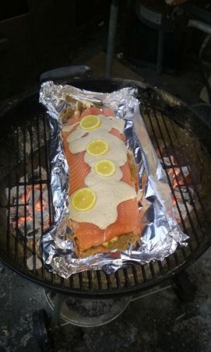 salmon2.jpg salmon2.jpg