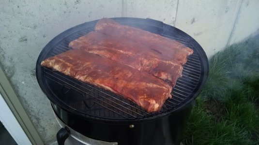 Ribs onto Dr. Irene Kennedy.jpg Ribs onto Dr. Irene Kennedy.jpg