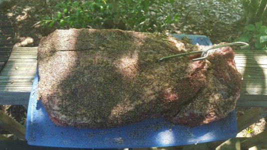 20160514_102546.jpg