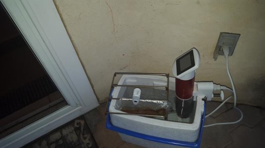 20161116_164749.jpg
