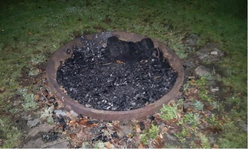 Picture (Device Independent Bitmap) 1.jpg