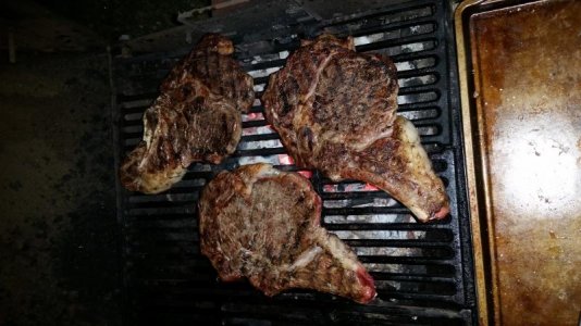 20161008_204554.jpg