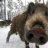 GreasePig