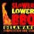 slowerlowerbbq