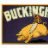 Bucknbacon
