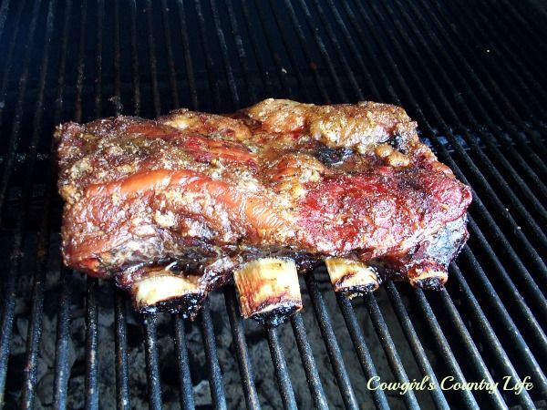 beef%20ribs%20002res_zps1e9ssqmd.jpg