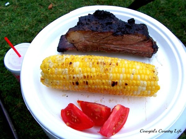 beef%20ribs%20campfire%20073res_zps34cx53iw.jpg