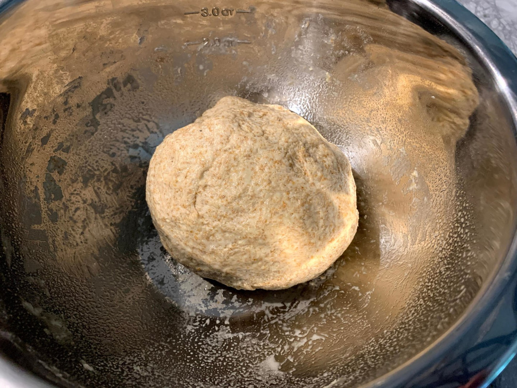 Sourdough-English-Muffin-dough.jpg