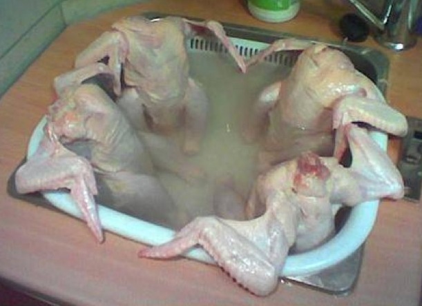 chicken-hot-tub.jpg